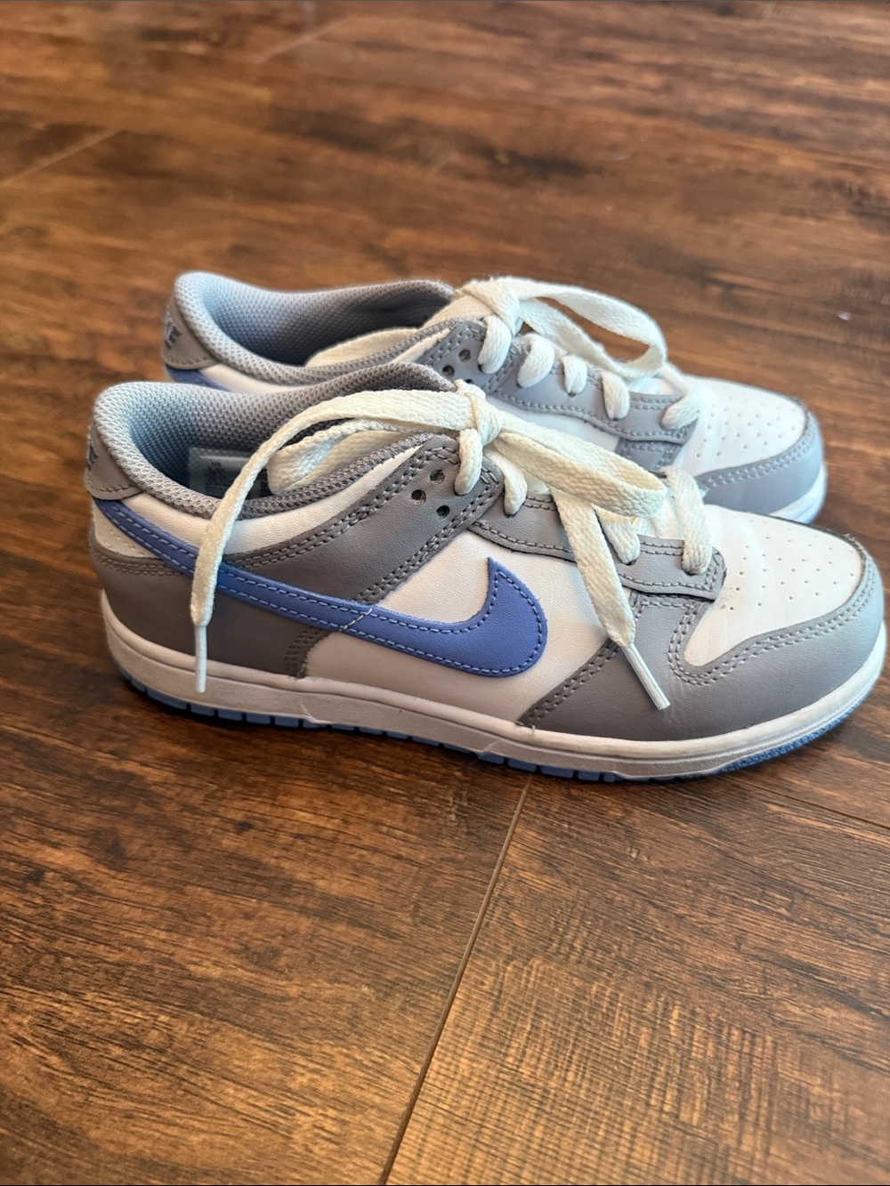 Youth Nike Dunk size 2.5Y